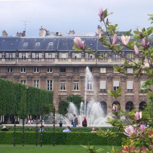 Что такое palais royal. Смотреть фото Что такое palais royal. Смотреть картинку Что такое palais royal. Картинка про Что такое palais royal. Фото Что такое palais royal