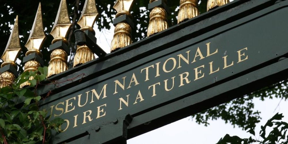 Национальный музей естественной истории