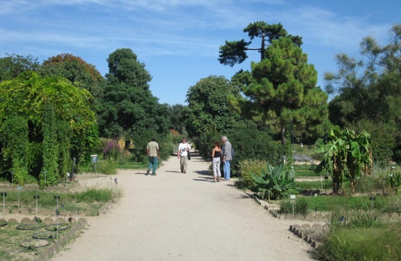 Сад растений в Париже - аллея
