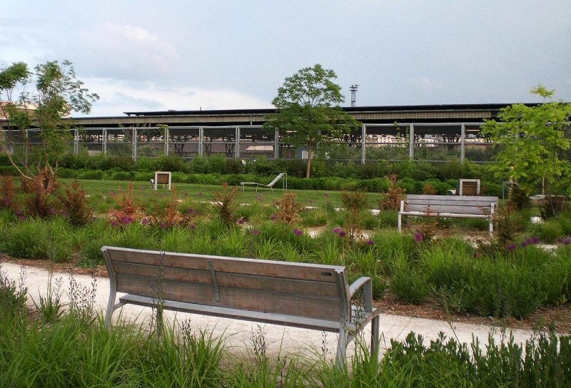 park-martena-lyutera-kinga3
